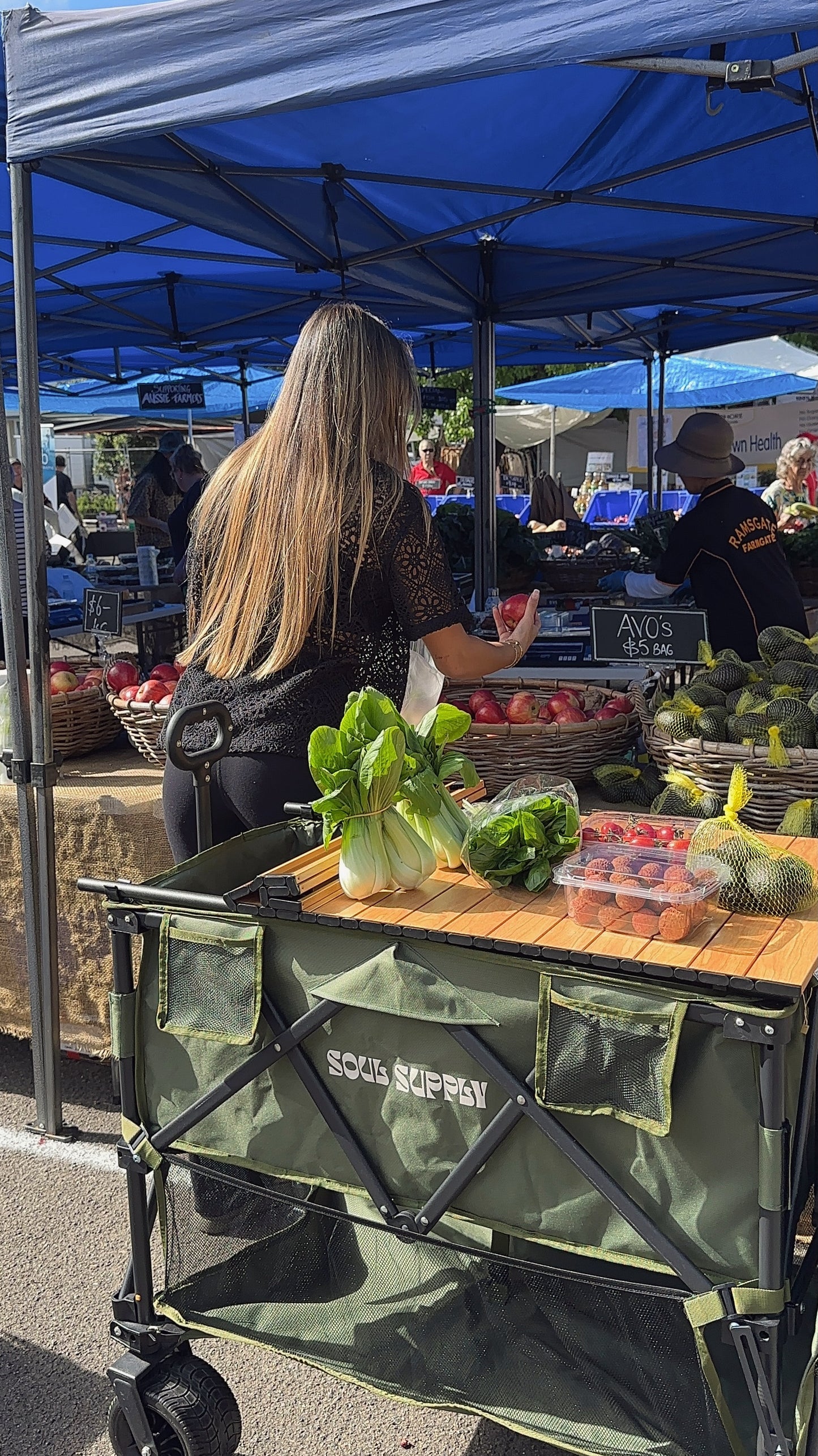DOUBLE DECKER HAULER